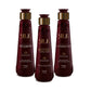 Lissage Brésilien Vitta Gold Silk Express Coffret 3x200ml