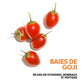 Conditionneur Cheveux Secs Invigo Nutri-Enrich Wella 2