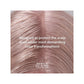 Huile de Soin Pré-Traitement Marula Oil Wella 150ml 2